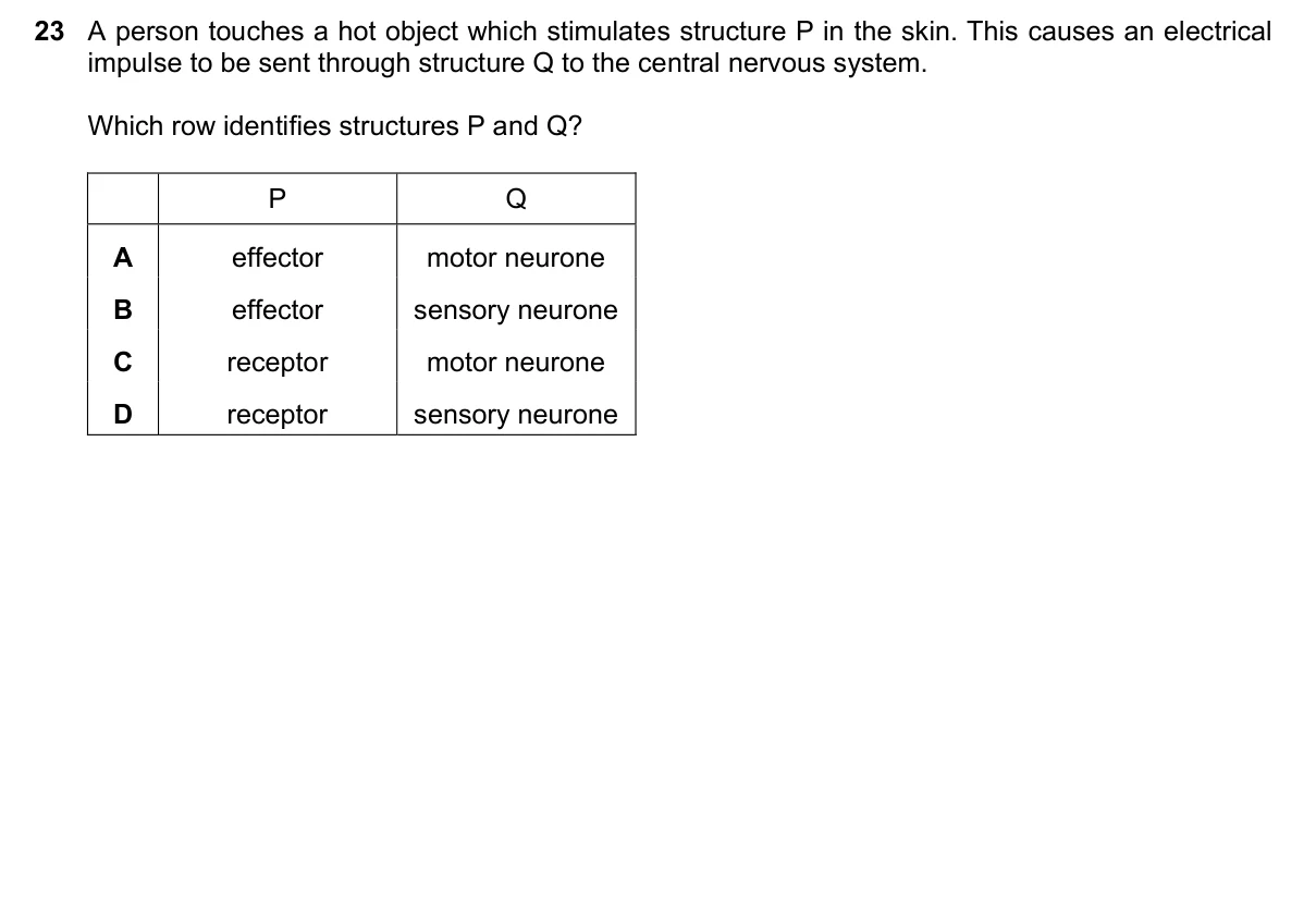 Question 23, June 2025, 0610 Paper 12