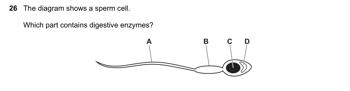 Question 26, June 2025, 0610 Paper 12