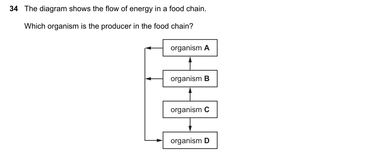 Question 34, June 2025, 0610 Paper 12