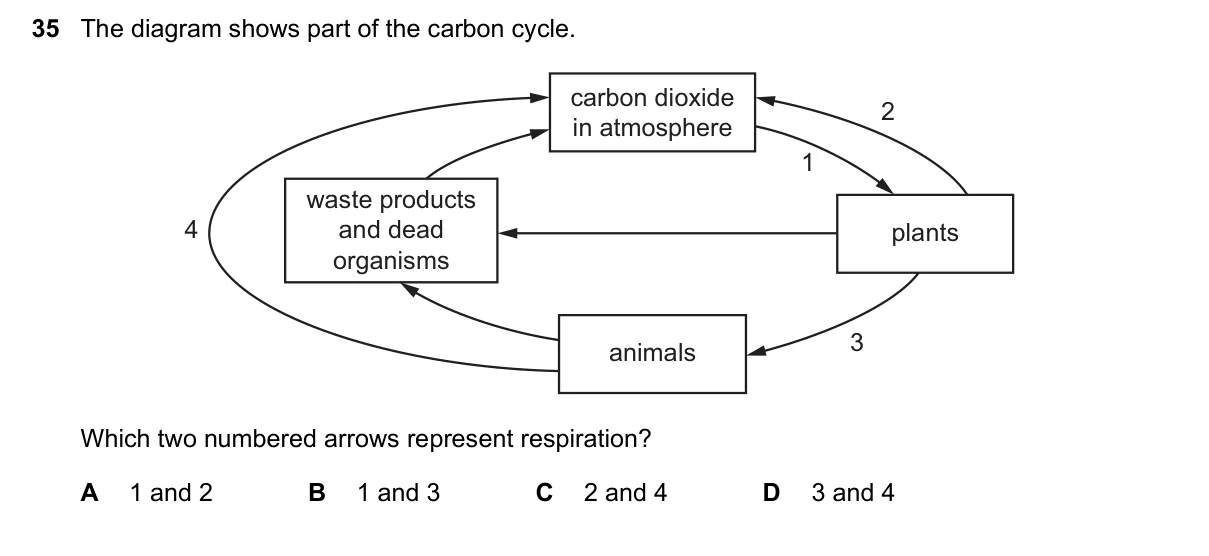 Question 35, June 2025, 0610 Paper 12