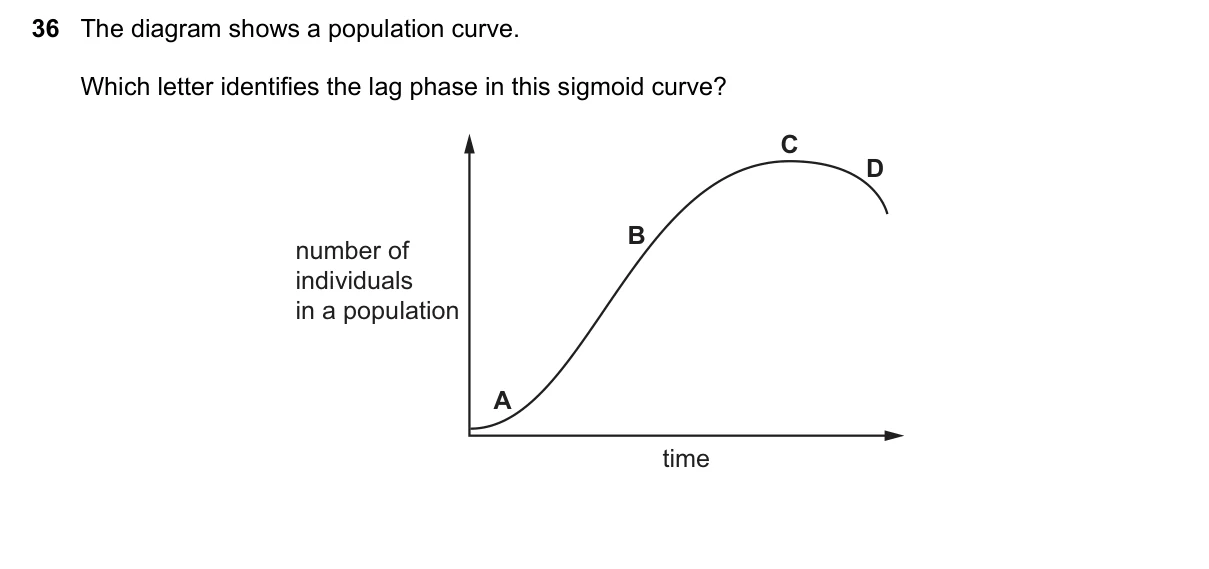 Question 36, June 2025, 0610 Paper 12