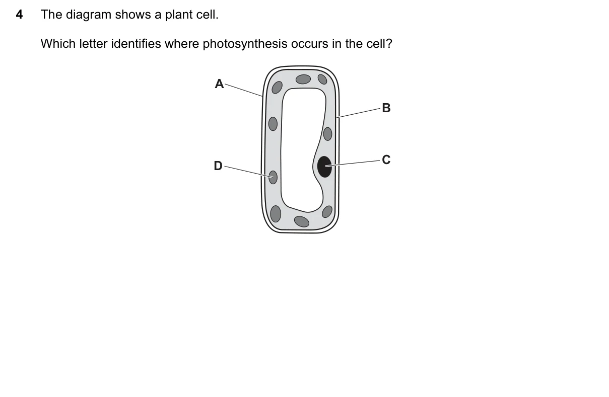Question 4, June 2025, 0610 Paper 12