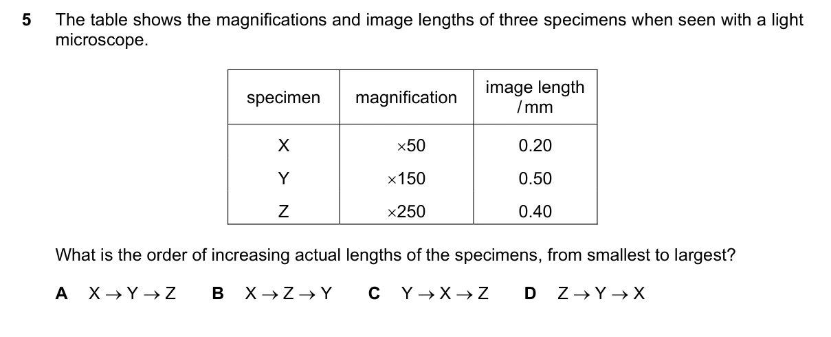 Question 5, June 2025, 0610 Paper 12