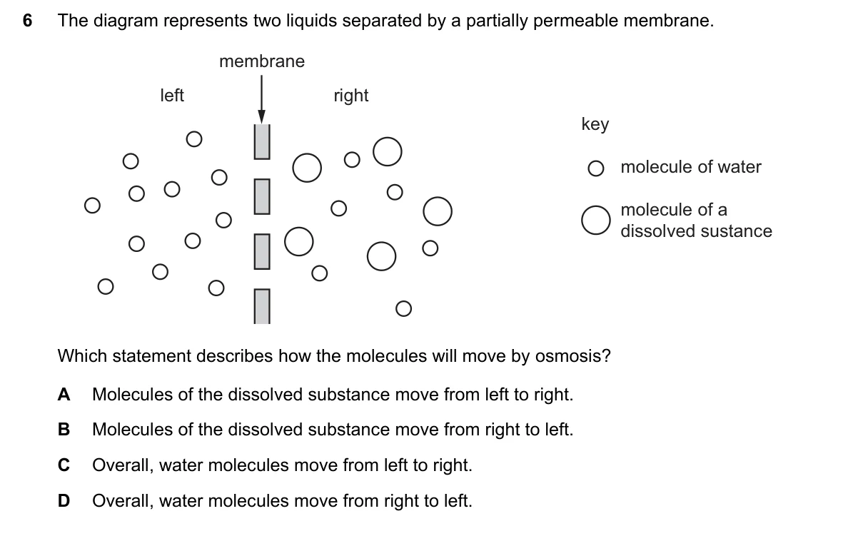 Question 6, June 2025, 0610 Paper 12