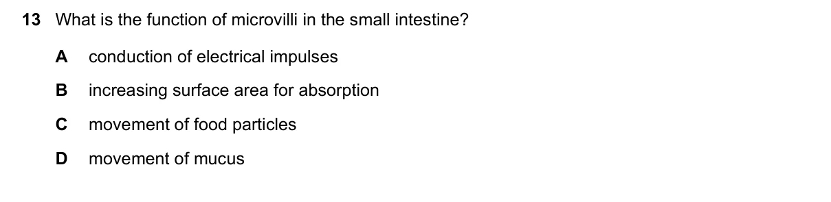 Question 13, June 2025, 0610 Paper 22