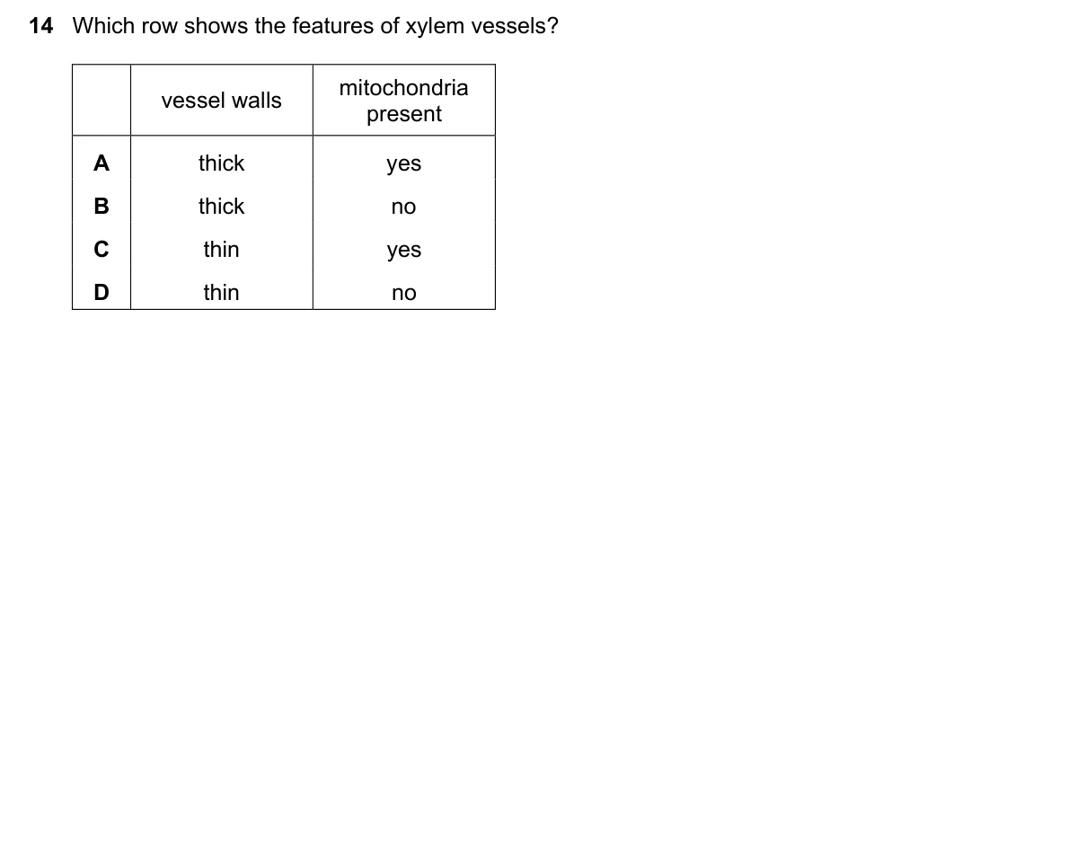 Question 14, June 2025, 0610 Paper 22
