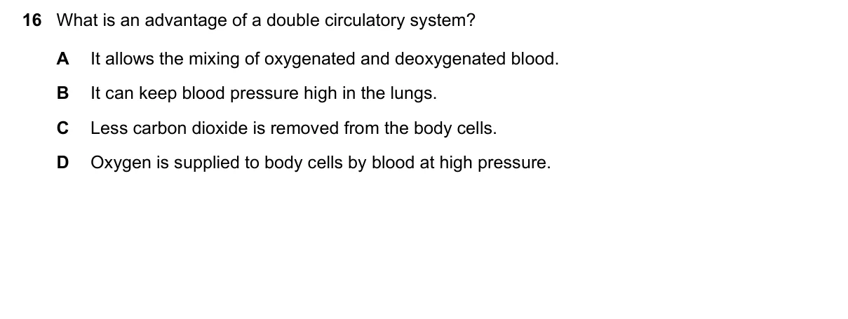Question 16, June 2025, 0610 Paper 22