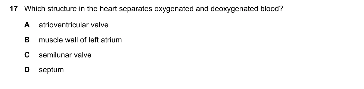 Question 17, June 2025, 0610 Paper 22