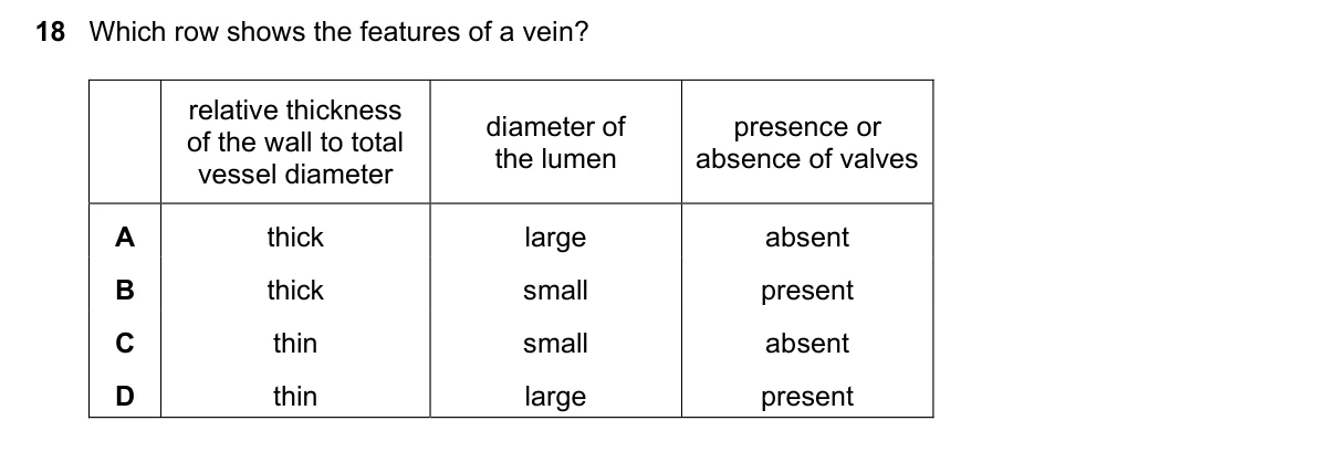 Question 18, June 2025, 0610 Paper 22