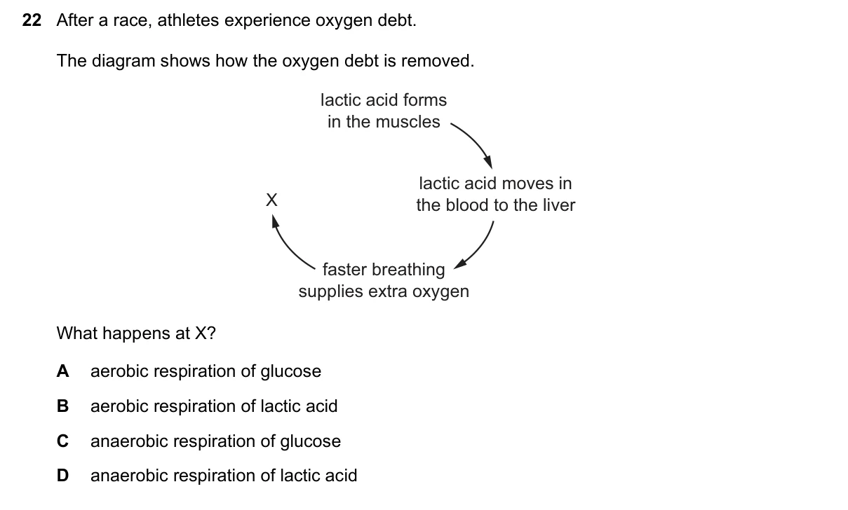 Question 22, June 2025, 0610 Paper 22