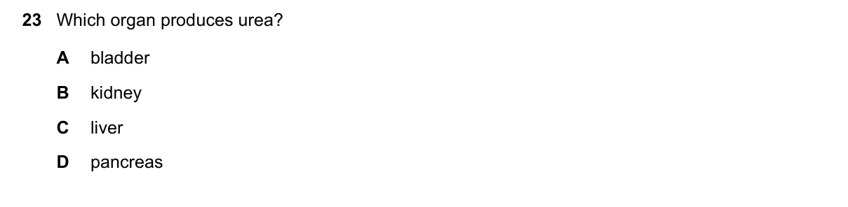 Question 23, June 2025, 0610 Paper 22