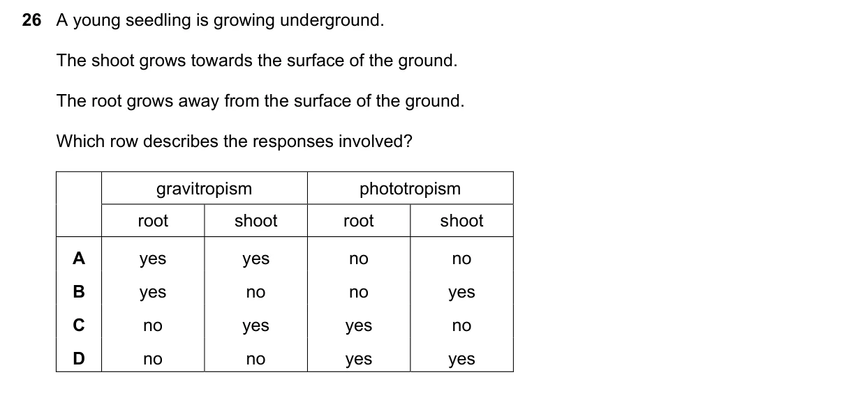 Question 26, June 2025, 0610 Paper 22