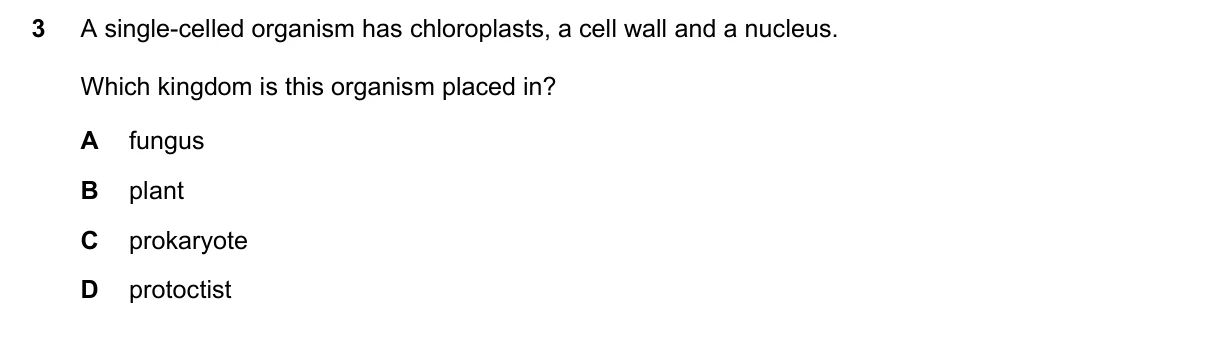 Question 3, June 2025, 0610 Paper 22