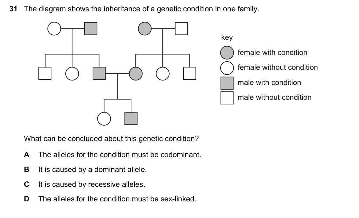Question 31, June 2025, 0610 Paper 22