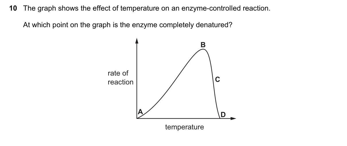 Question 10, June 2025, 0610 Paper 13