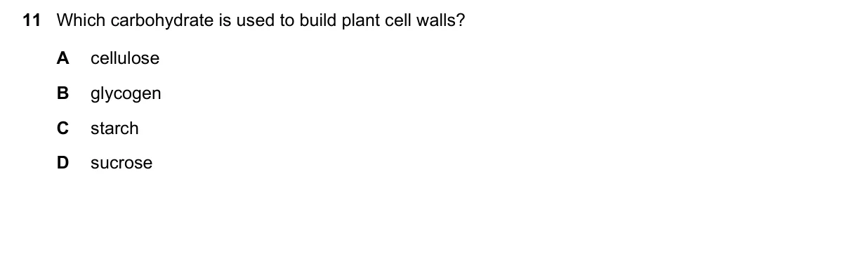 Question 11, June 2025, 0610 Paper 13