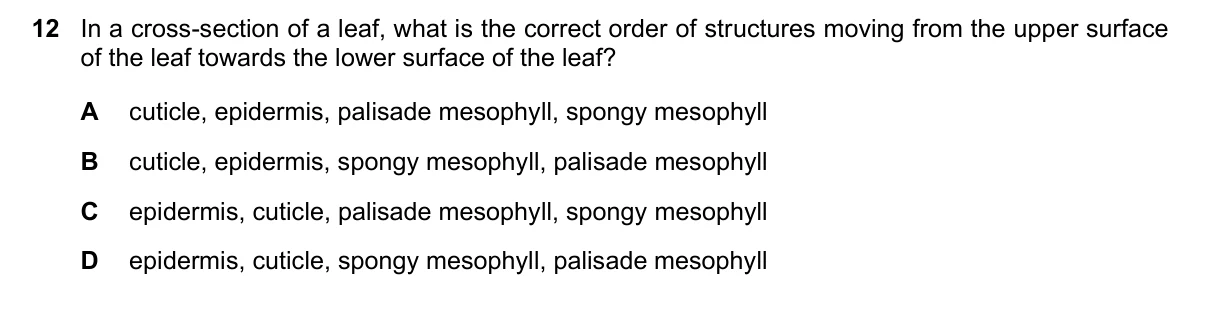 Question 12, June 2025, 0610 Paper 13