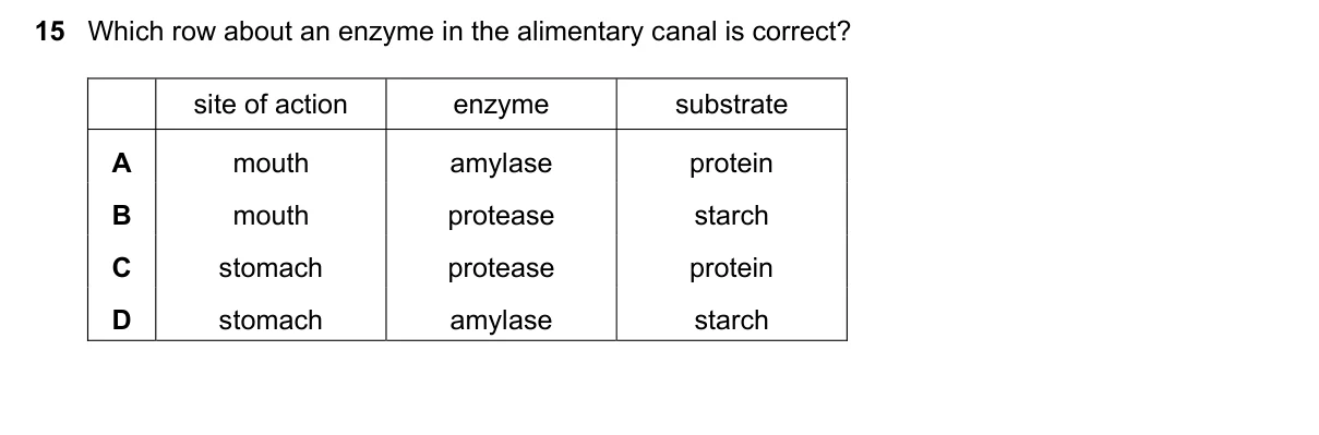 Question 15, June 2025, 0610 Paper 13