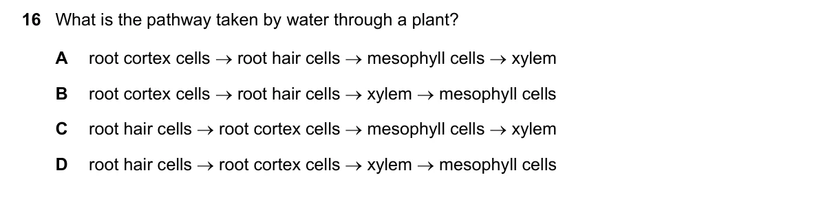 Question 16, June 2025, 0610 Paper 13