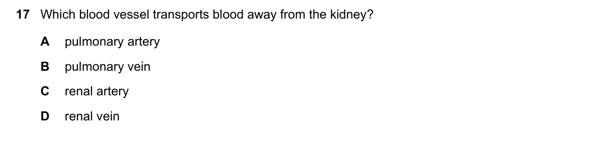 Question 17, June 2025, 0610 Paper 13
