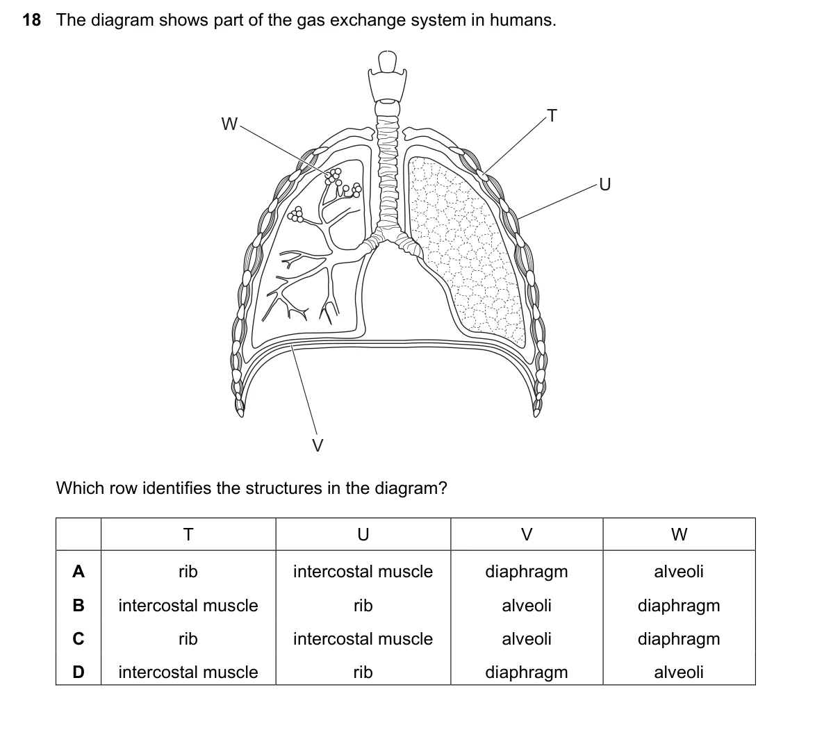 Question 18, June 2025, 0610 Paper 13