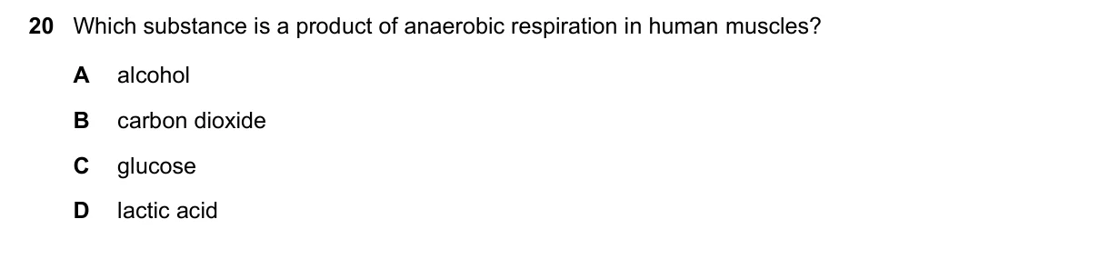 Question 20, June 2025, 0610 Paper 13