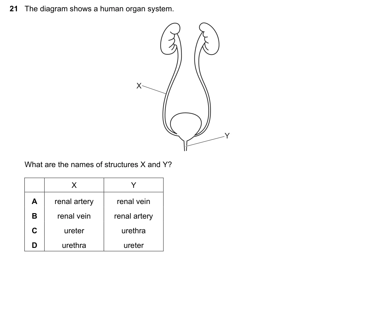 Question 21, June 2025, 0610 Paper 13