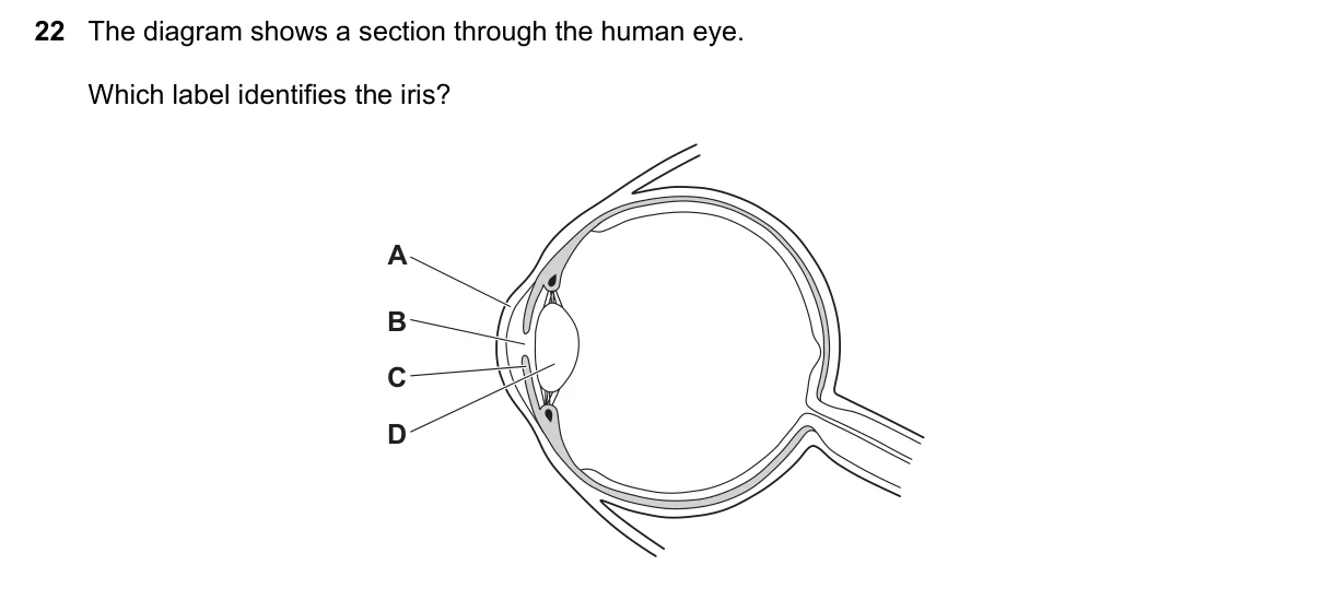 Question 22, June 2025, 0610 Paper 13