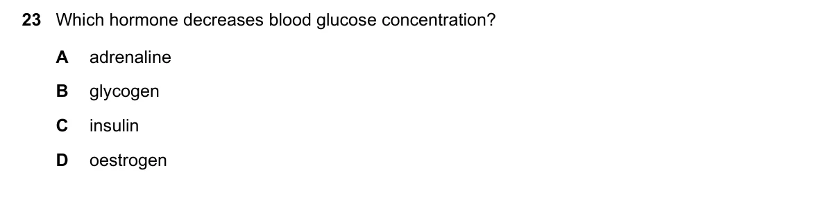 Question 23, June 2025, 0610 Paper 13