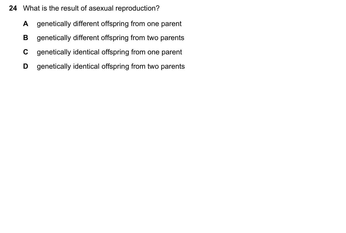 Question 24, June 2025, 0610 Paper 13