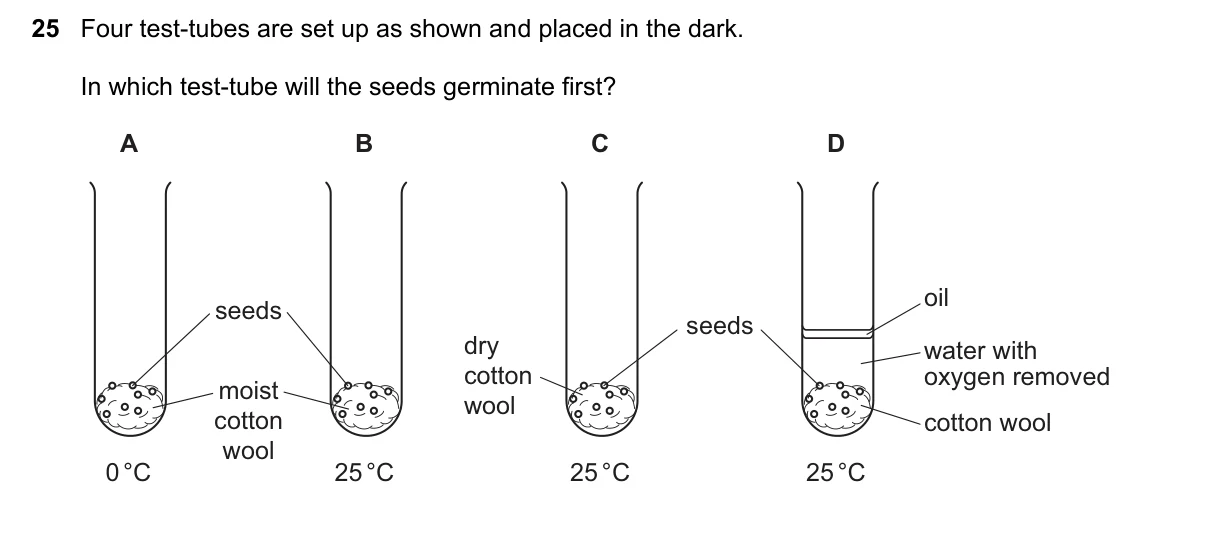 Question 25, June 2025, 0610 Paper 13