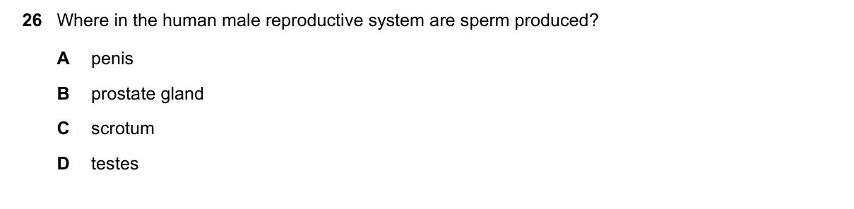 Question 26, June 2025, 0610 Paper 13