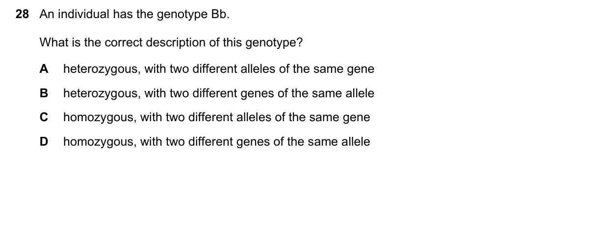 Question 28, June 2025, 0610 Paper 13