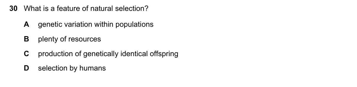 Question 30, June 2025, 0610 Paper 13
