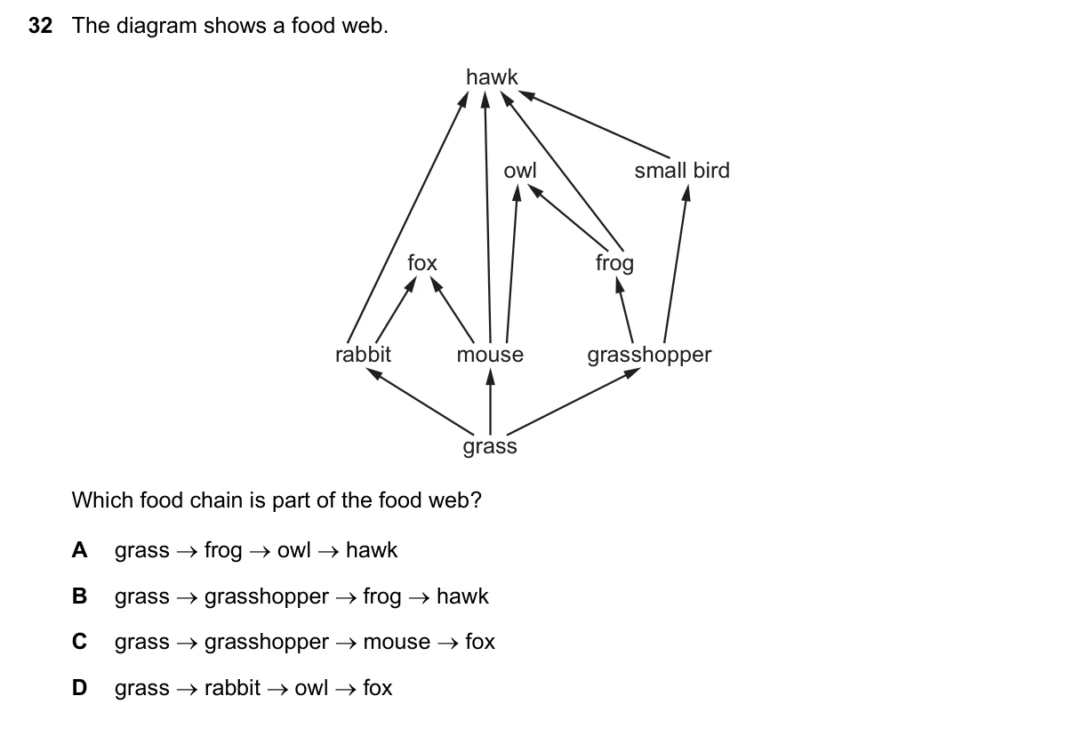 Question 32, June 2025, 0610 Paper 13
