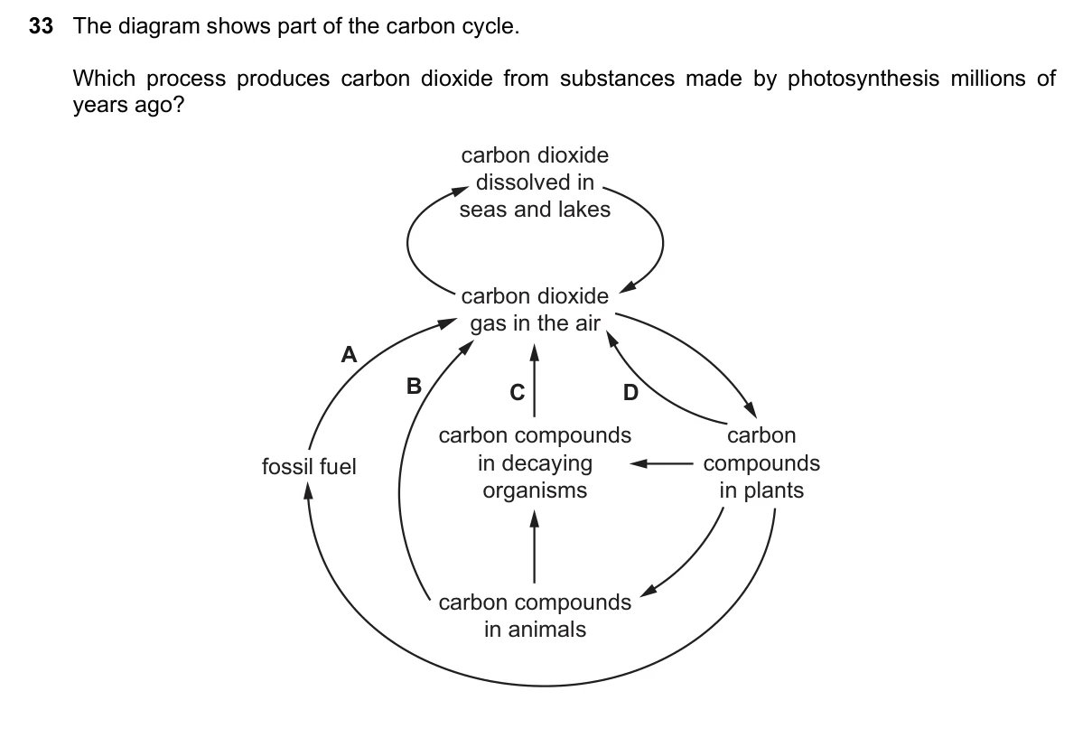 Question 33, June 2025, 0610 Paper 13