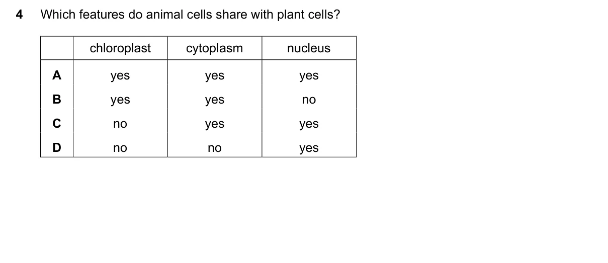 Question 4, June 2025, 0610 Paper 13