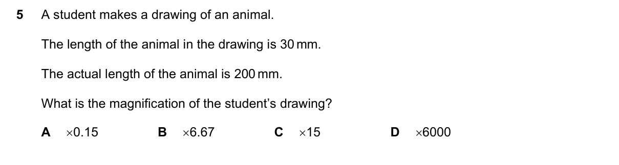 Question 5, June 2025, 0610 Paper 13