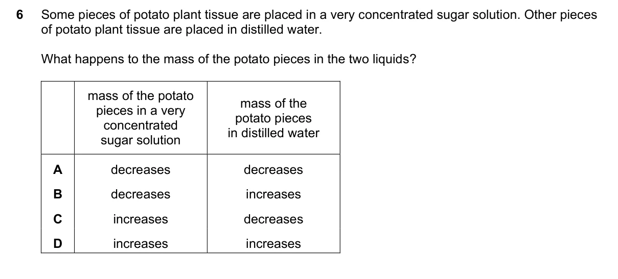 Question 6, June 2025, 0610 Paper 13