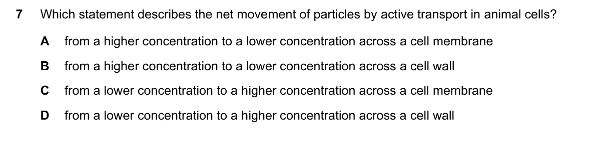 Question 7, June 2025, 0610 Paper 13