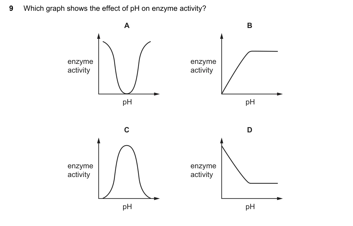 Question 9, June 2025, 0610 Paper 13