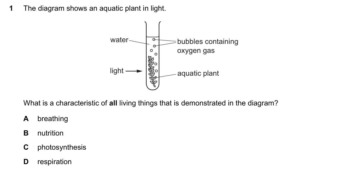 Question 1, June 2025, 0610 Paper 23