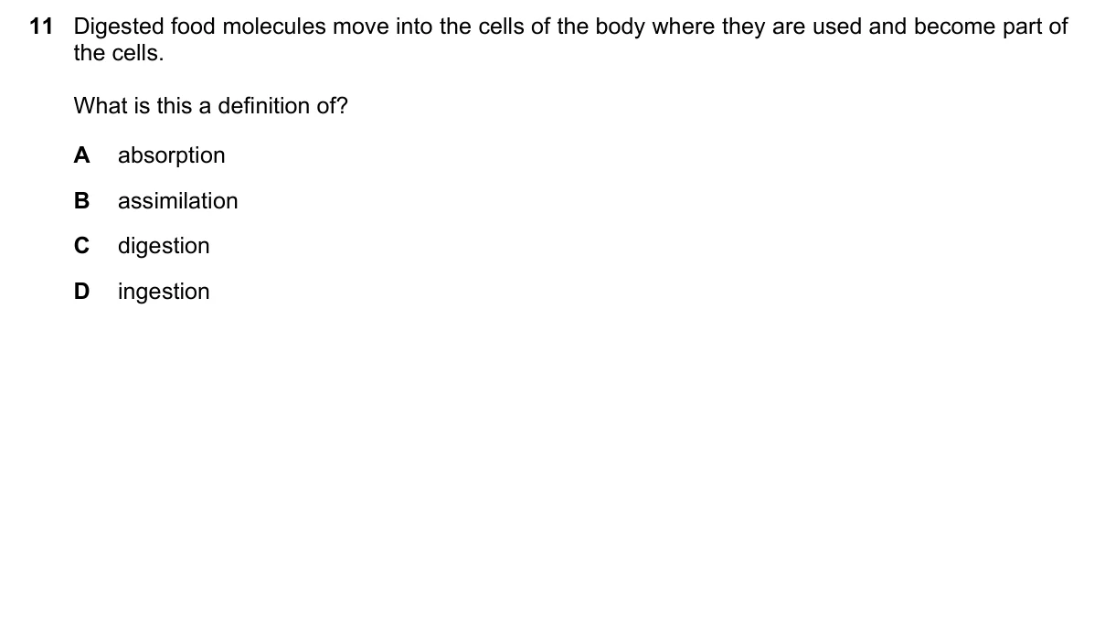Question 11, June 2025, 0610 Paper 23