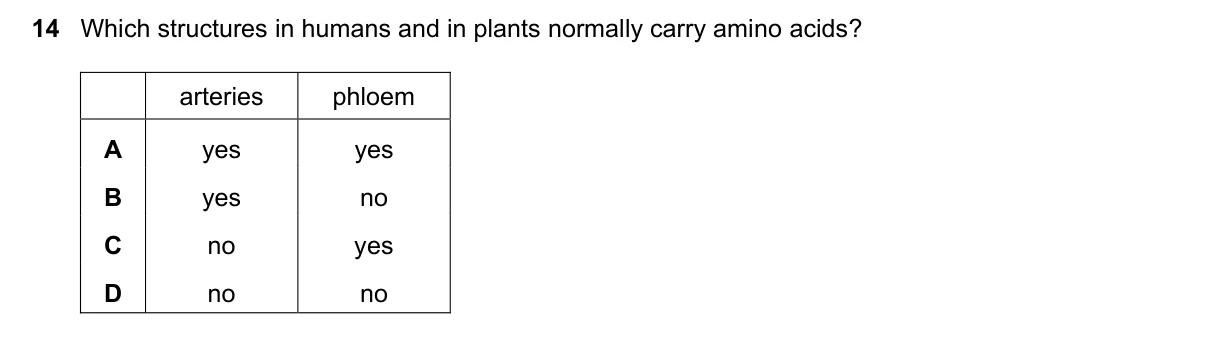 Question 14, June 2025, 0610 Paper 23