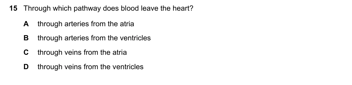 Question 15, June 2025, 0610 Paper 23