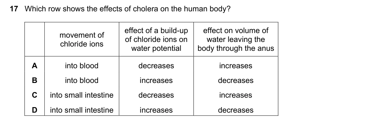 Question 17, June 2025, 0610 Paper 23
