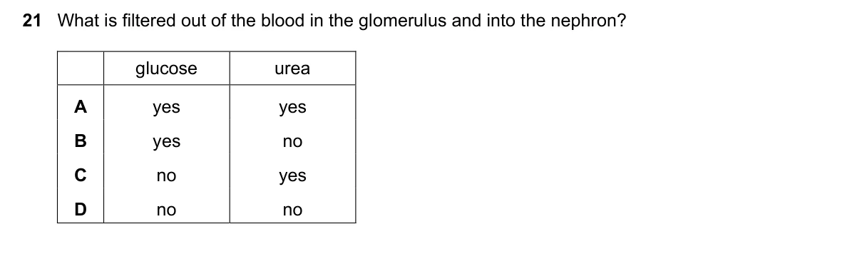 Question 21, June 2025, 0610 Paper 23
