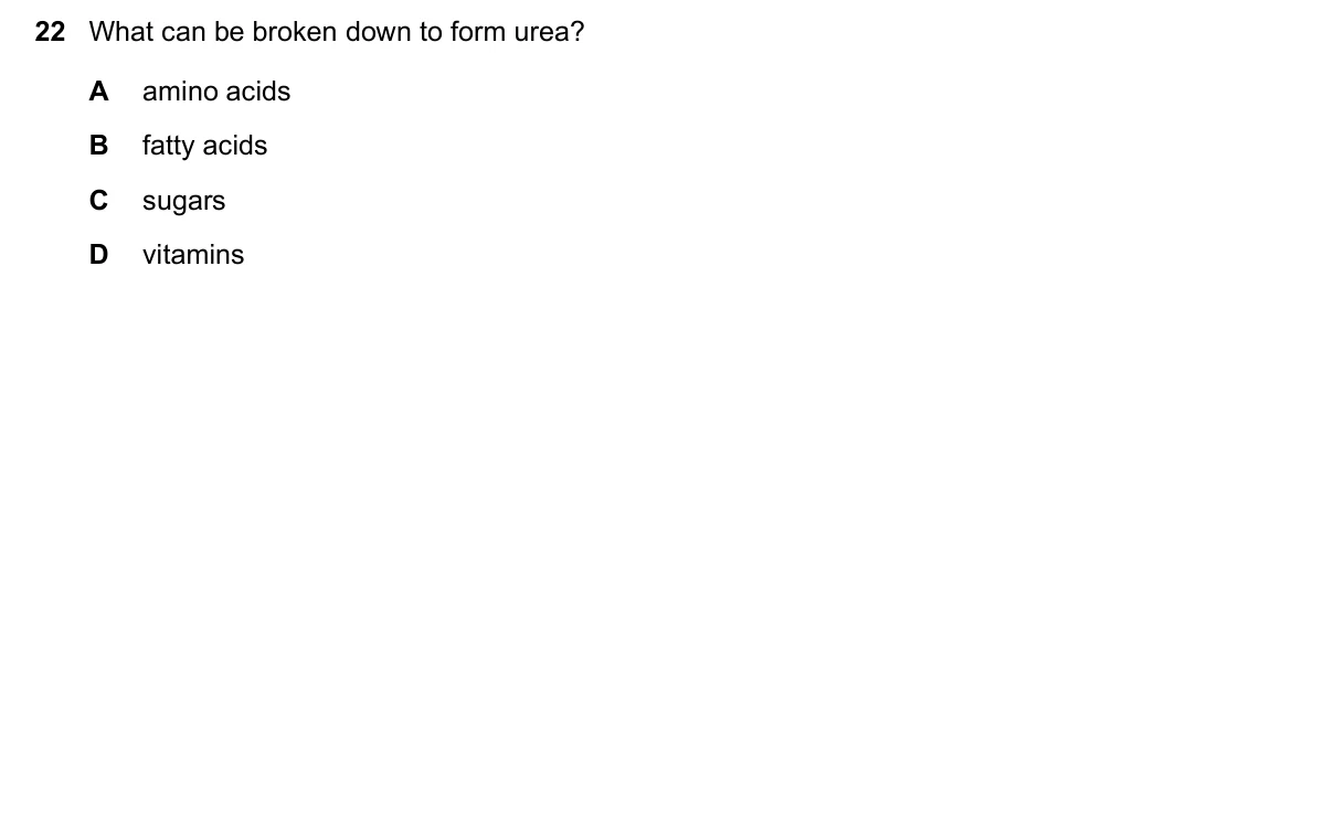 Question 22, June 2025, 0610 Paper 23