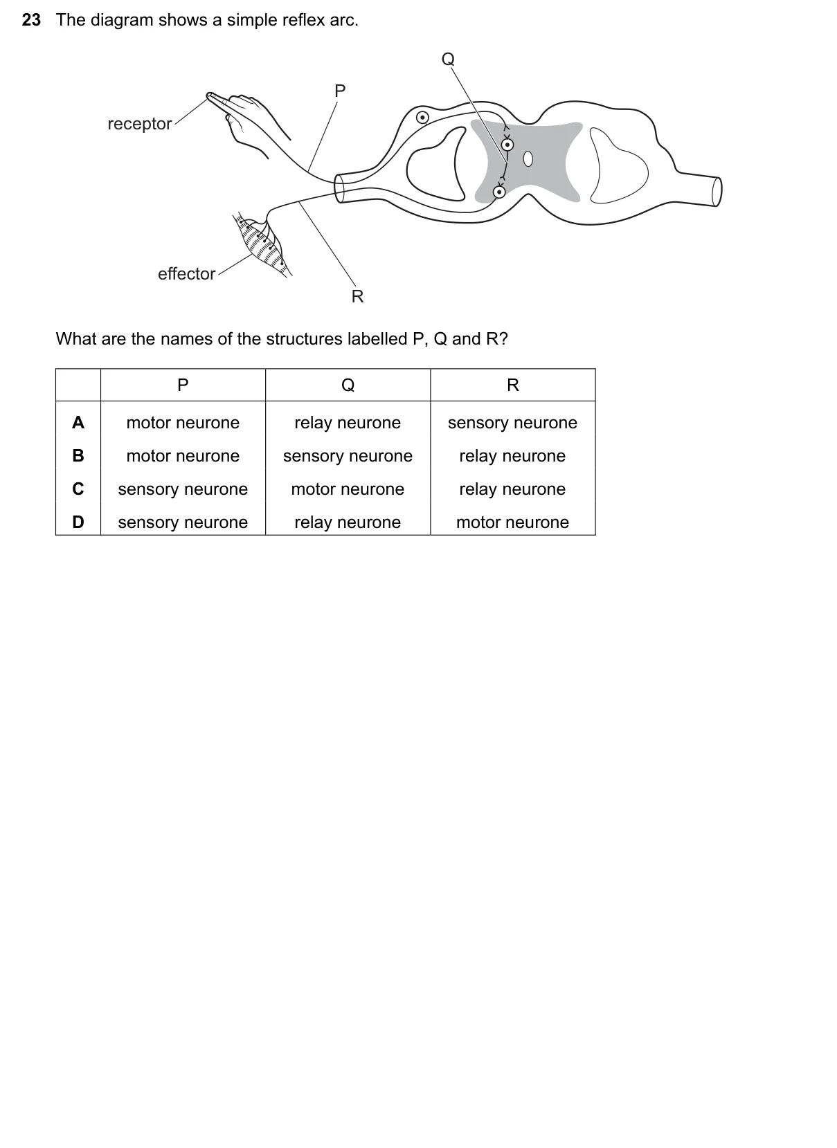 Question 23, June 2025, 0610 Paper 23