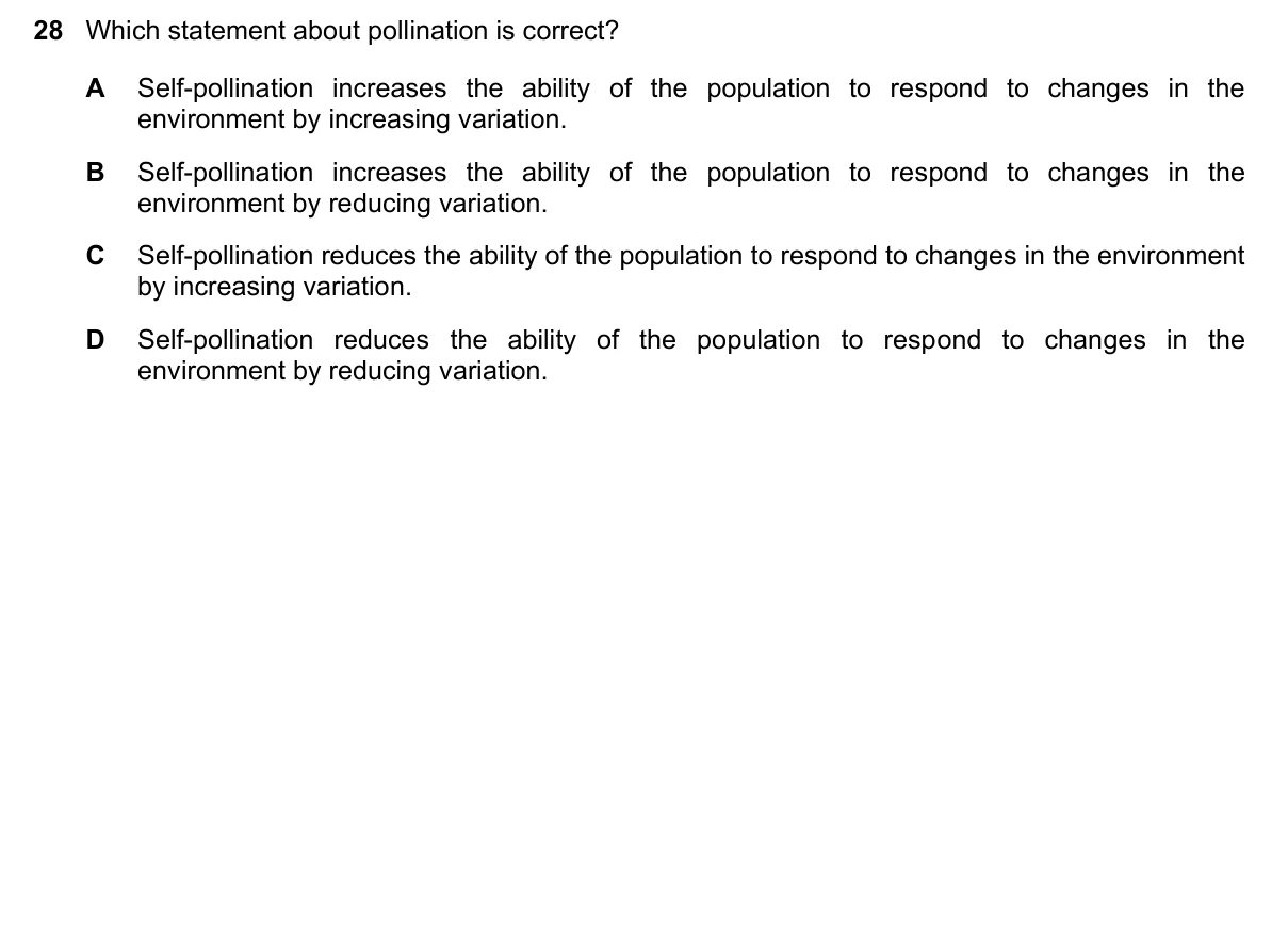 Question 28, June 2025, 0610 Paper 23